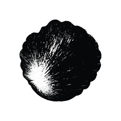 Artistic Seashell Illustration with Radiant Patterns