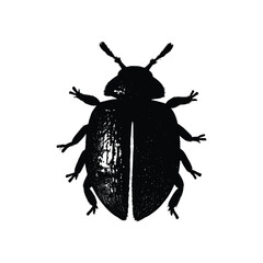 Elegant Black and White Beetle Silhouette Illustration