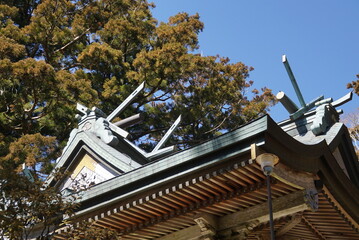 玉置神社・本社 © Bosporus