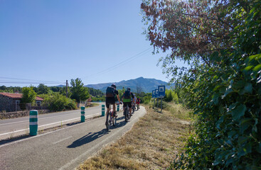 Segregated cycle lane running parallel to a local road