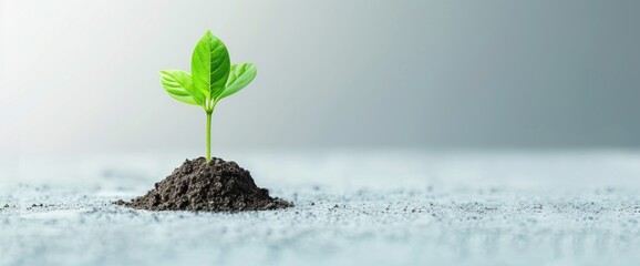 Abstract business growth visualization with clear copy space and natural light