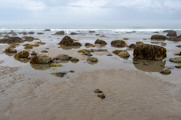 Foggy day on a New England beach