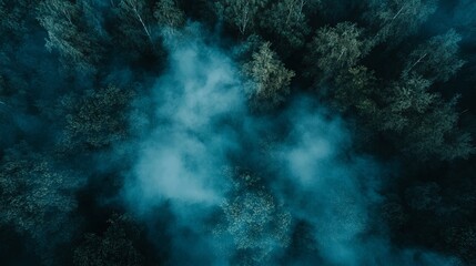 Mysterious Aerial Night Photography of a Lush Forest Shrouded in Mist