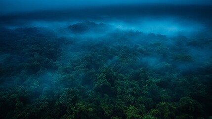 Fototapeta premium Mysterious Aerial Night Photography of a Lush Forest Shrouded in Mist