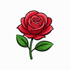 Rose Flower vector, silhouette,colorful high quality image