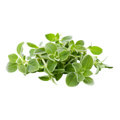 Close-up of a cluster of oregano leaves with rich green hues and intricate leaf patterns, isolated against a transparent backdrop.