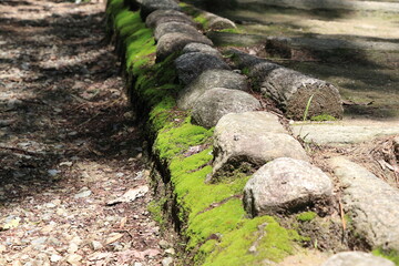 苔むした石の連なる道