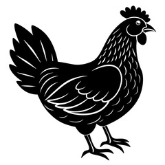 hen and chicken isolated on white, chicken vector illustration, pet vector art, Chicken silhouette, animal vector icon, rooster line art,eps