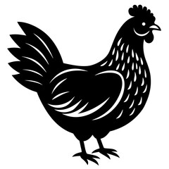 hen and chicken isolated on white, chicken vector illustration, pet vector art, Chicken silhouette, animal vector icon, rooster line art,eps