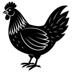 hen and chicken isolated on white, chicken vector illustration, pet vector art, Chicken silhouette, animal vector icon, rooster line art,eps