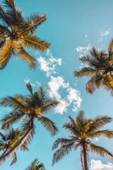 Naklejka premium Tropical low-angle shot of palm trees against a clear blue sky, capturing the serene and relaxing vibes of a sunny day in paradise.