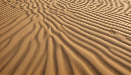 Fototapeta premium The whispering sands of a desert landscape