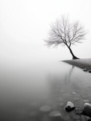 tree fog body deep white border background monochromatic business products supplies splash sorrow attribution low horizon frozen time auction magazine minimalism