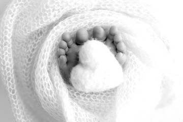 The tiny foot of a newborn baby. Soft feet of a new born in a wool blanket. Close up of toes, heels and feet of a newborn. Knitted heart in the legs of a baby Studio macro photography. Black and white