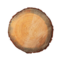Fototapeta premium Slice Stump of Tree with Annual Rings. Isolated. File with Clipping Path.