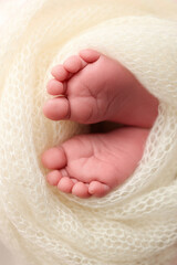 The tiny foot of a newborn. Soft feet of a newborn in a white woolen blanket. Close up of toes, heels and feet of a newborn baby. Studio Macro photography. Woman's happiness.