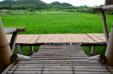 Bamboo resort and walkways are made of bamboo with beautiful views of rice fields and forests