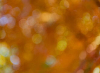 Blur backdrop of autumn leaves. Unfocused colorful season. Bokeh autumn leaves. Fall blurred background orange color. Fall nature. Blurred bokeh background. Autumn defocused nature. Background blur