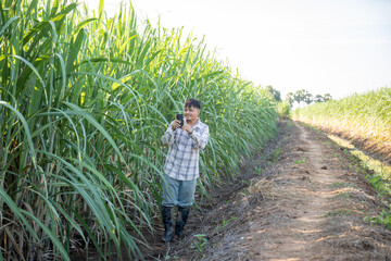 A man is taking a picture of a field of tall grass