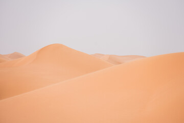 sand dunes in the desert