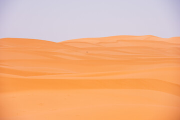 sand dunes in the desert