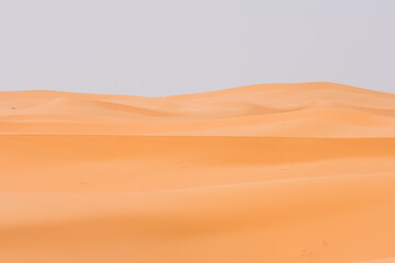 sand dunes in the desert