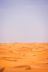 sand dunes in the desert