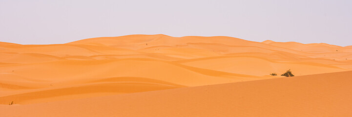 sand dunes in the desert