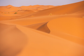 sand dunes in the desert