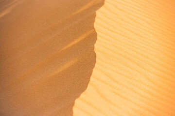 sand dunes in the desert
