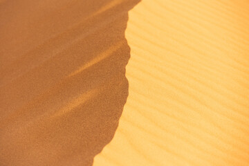 sand dunes in the desert