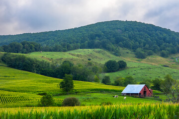 Summer sunrise on the Virginia farm