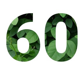 Design number 60 with leaf texture on white background