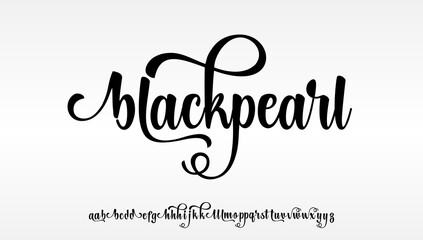 Classic Lettering Minimal Fashion Designs. Typography modern serif fonts regular decorative vintage concept. vector illustration
