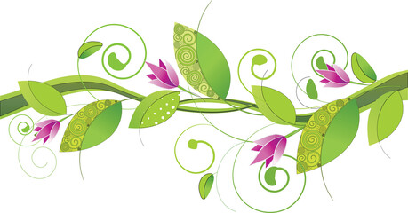 A close-up photo of a leafy plant with water droplets on its leaves against a dark background