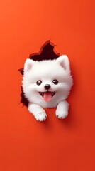 Cute Puppy Peeking Through Orange Wall on a Red Background