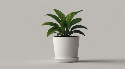 2D Flat-Style Illustration of a Single Potted Plant on a White Background with Ample Copy Space