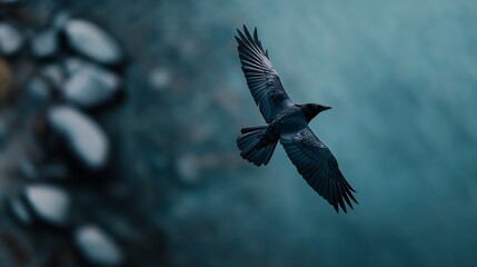 bird flying body deep long tattered umbra blue rising crypt captured flitting sky hopeless grey