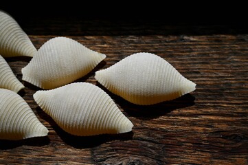 Italian raw conchiglioni on the background of a rustic tree 