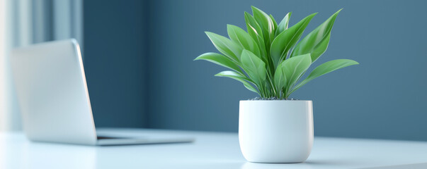 Fototapeta premium A modern workspace featuring a stylish green plant beside a sleek laptop, enhancing productivity and creativity.