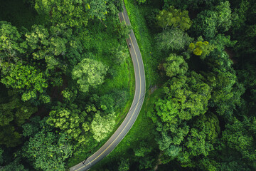 Aerial top view road In the countryside and green trees along the roadside