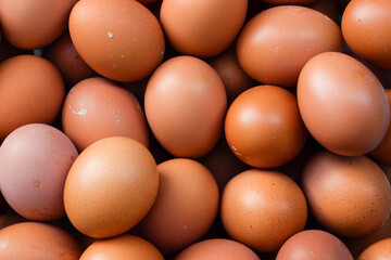 Photo of a pile of fresh eggs. Close-up photo of chicken eggs.