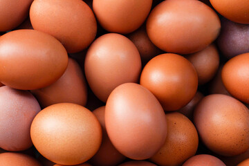 Photo of a pile of fresh eggs. Close-up photo of chicken eggs.