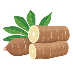 Manihot Esculenta or Cassava Root with Leaves Illustration