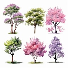 Fototapeta premium Watercolor Painting of Six Different Trees with Green, Pink and Purple Leaves on a White Background.