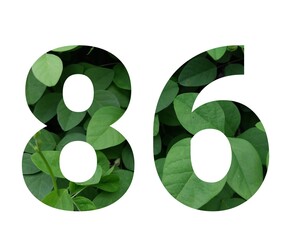 A beautiful and creative illustration of the number 86 formed by vibrant green leaves. Perfect for nature-themed designs, eco-friendly projects, and more. 