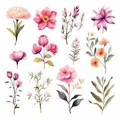 Obraz premium Watercolor illustration of pink and orange flowers with green leaves isolated on a white background.