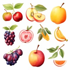 Watercolor Illustration of Fresh Fruits and Berries.