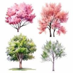 Obraz premium Watercolor illustration of four trees, two pink flowering trees, a green leafy tree, and a gray leafy tree.