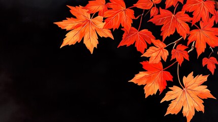Maple leaves